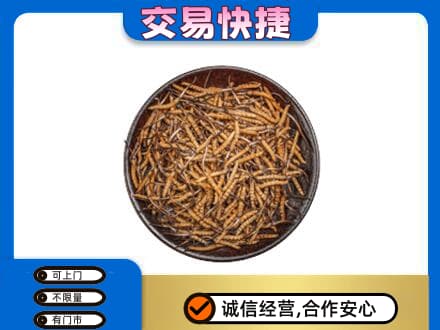 三台县回收散虫草